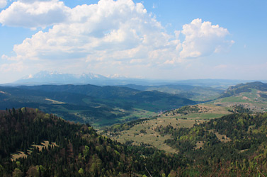 Szczawnica - Góra Wysoka